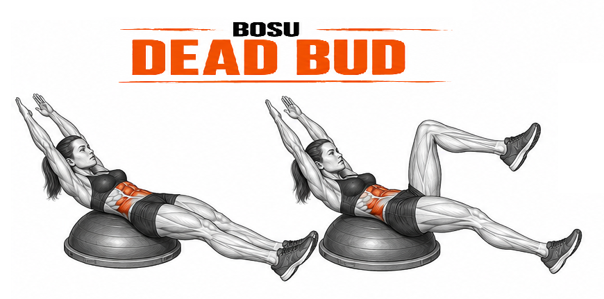 BOSU Dead Bug illustration