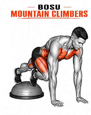 Illustrated guide to the BOSU Mountain Climbers exercise