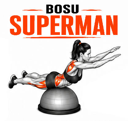 Illustrated guide to the BOSU Superman exercise