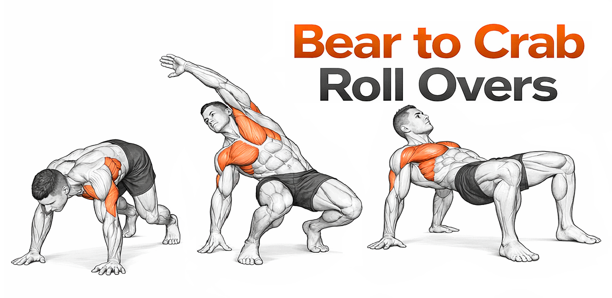 Bear to Crab Rollover illustration