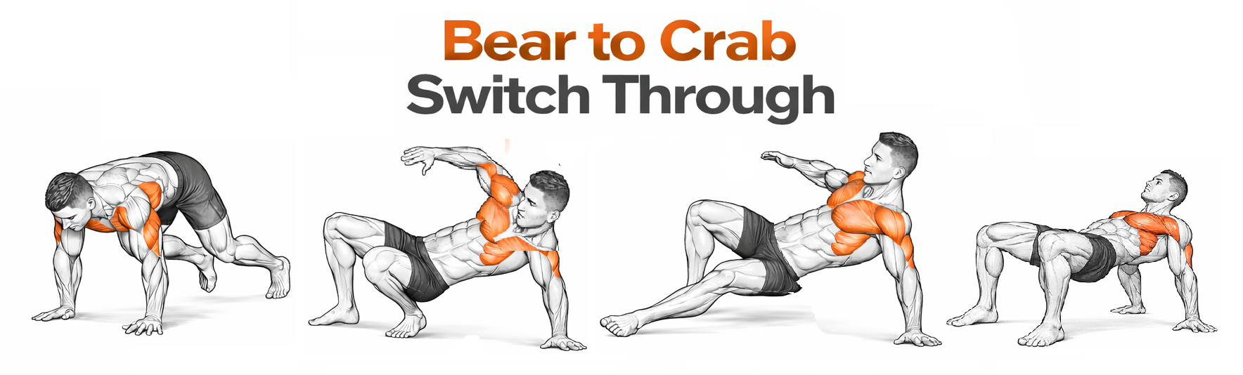 Bear to Crab Switch Through illustration