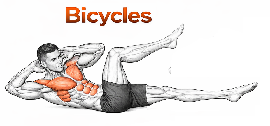 Bicycles illustration