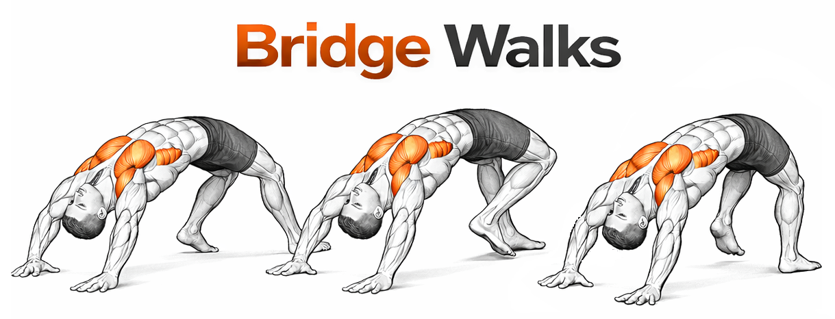 Bridge Walks illustration