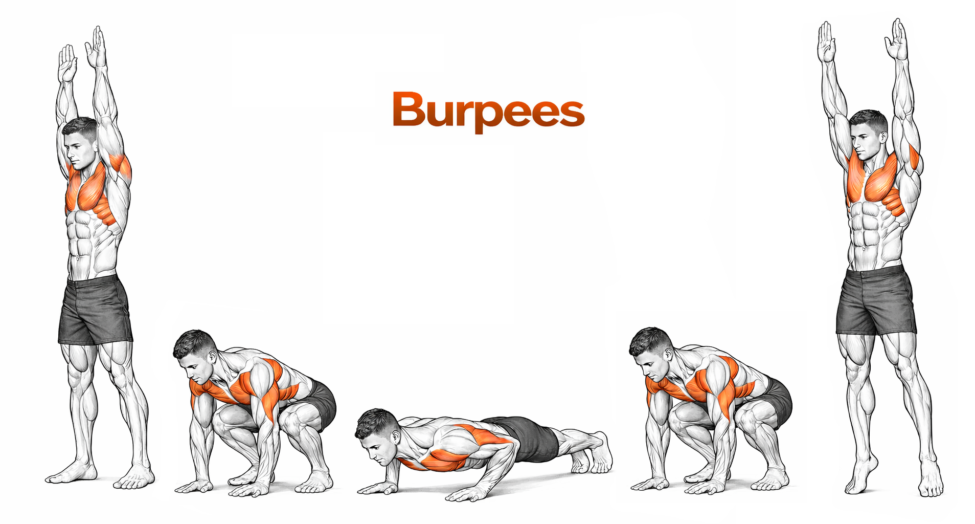 Burpees illustration