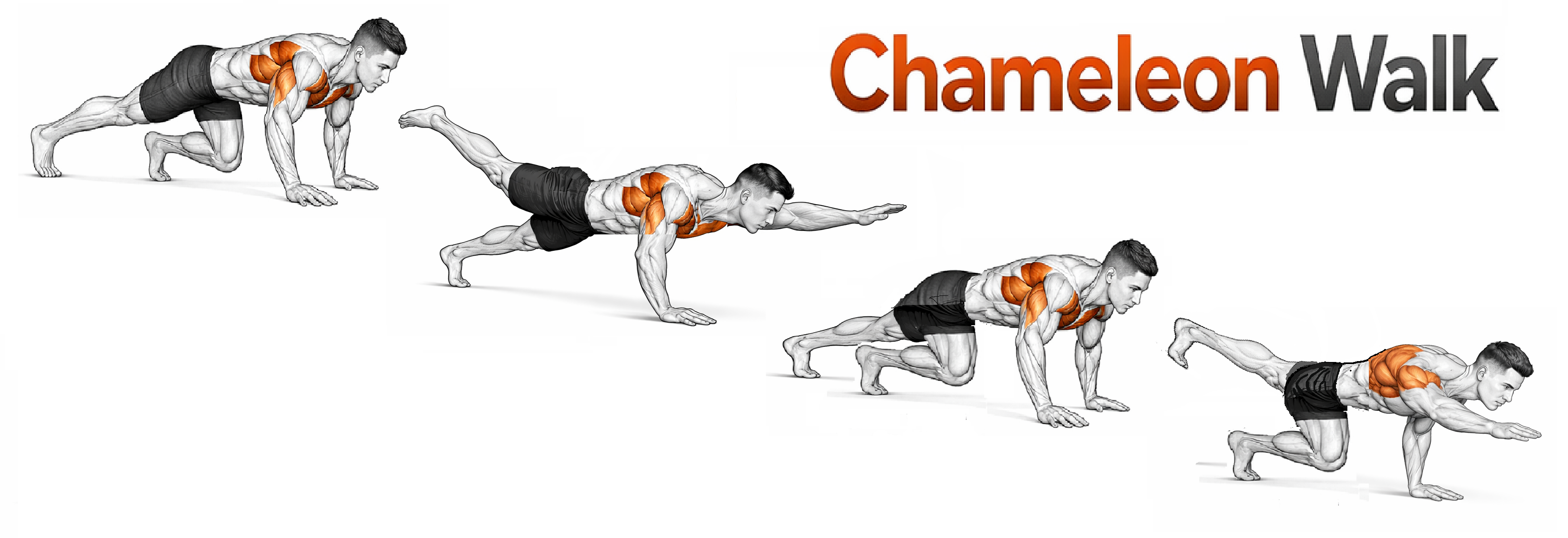 Chameleon Walk illustration