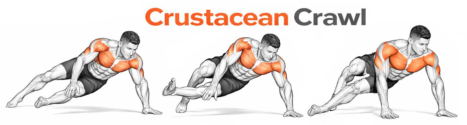 Crustacean Crawl illustration