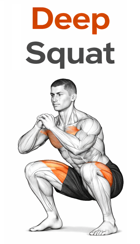 Illustrated guide to the Deep Squat exercise
