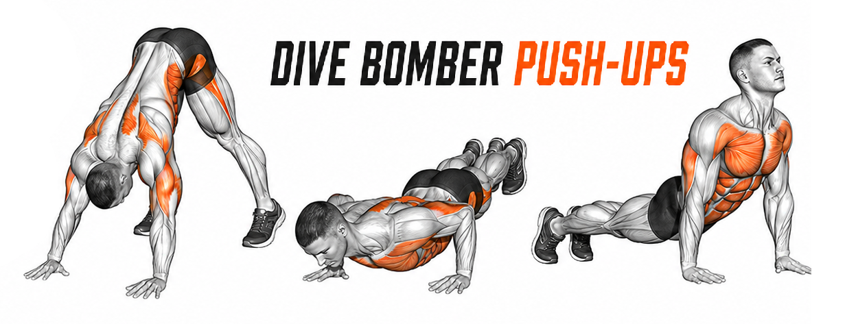 Illustrated guide to the Dive Bomber Push-Ups exercise