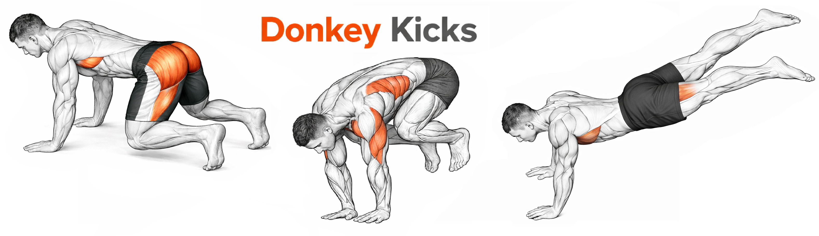 Illustrated guide to the Donkey Kicks exercise