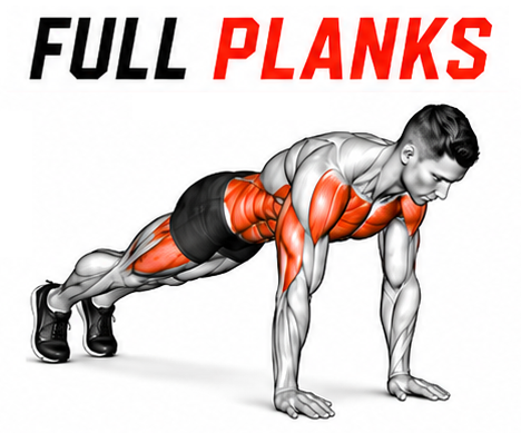 Full Planks illustration