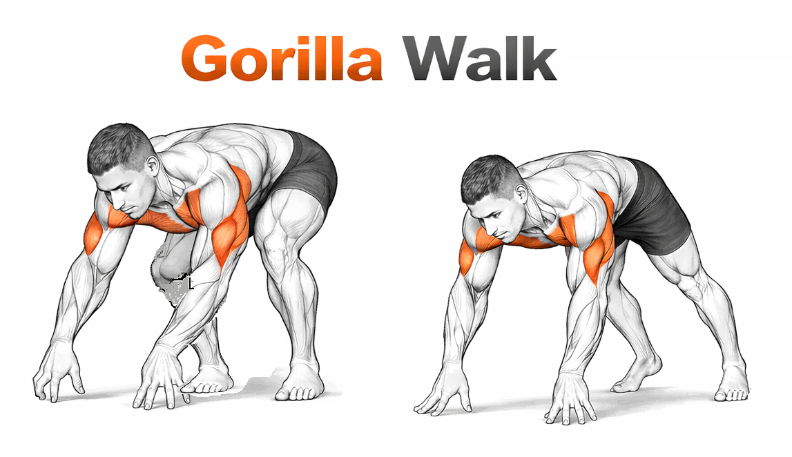 Gorilla Walk illustration