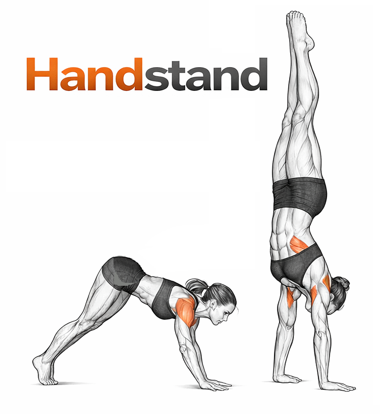 Hand Stand illustration