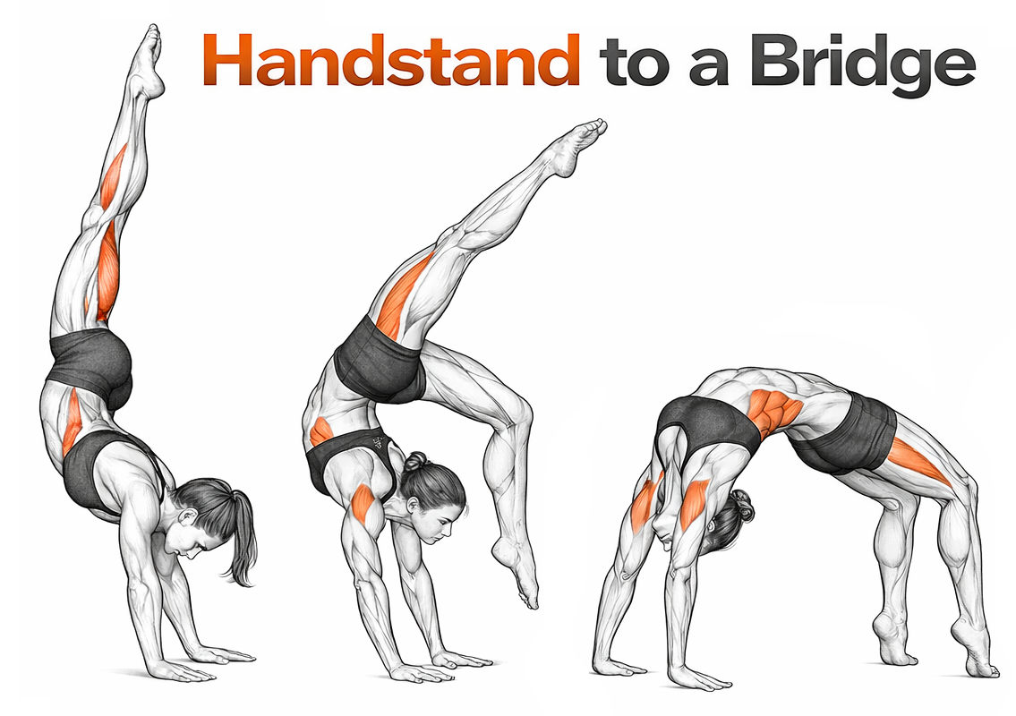 Handstand to Bridge illustration