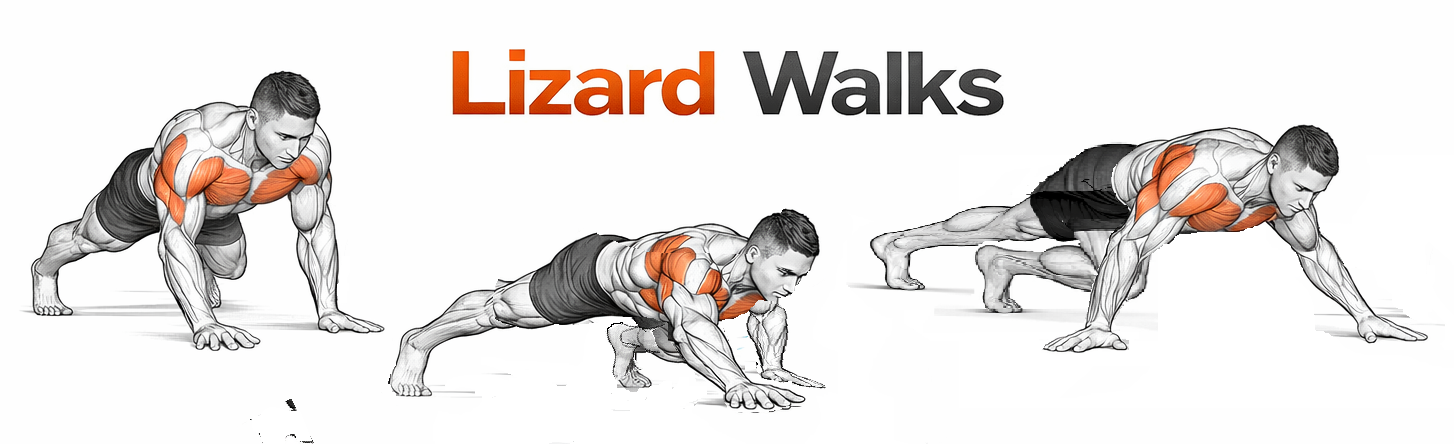 Lizard Walk illustration