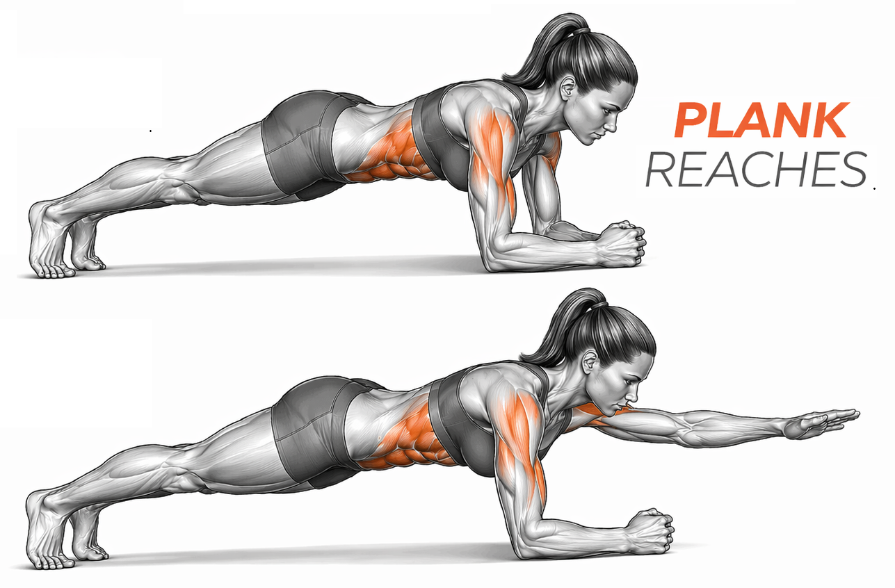 Plank Reaches illustration