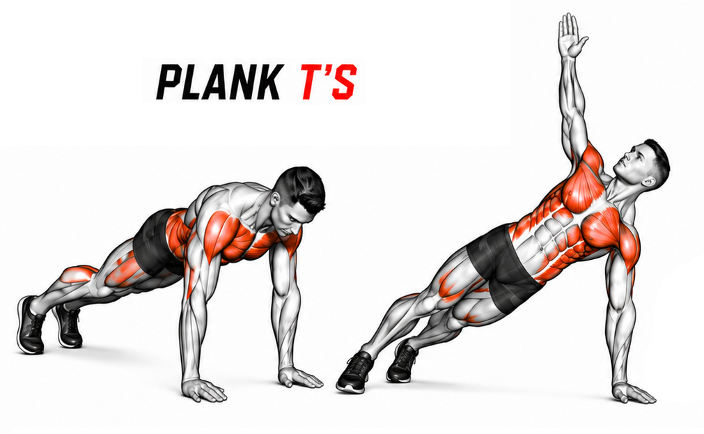 Plank T's illustration