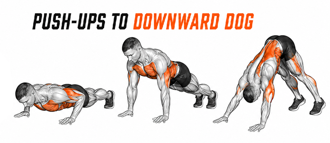 Push-Up to Downward Dog illustration