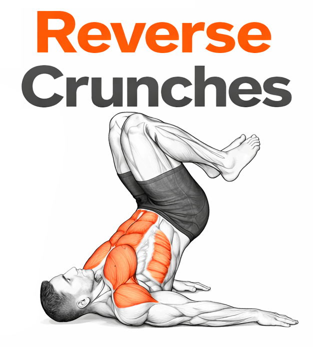 Reverse Crunches illustration