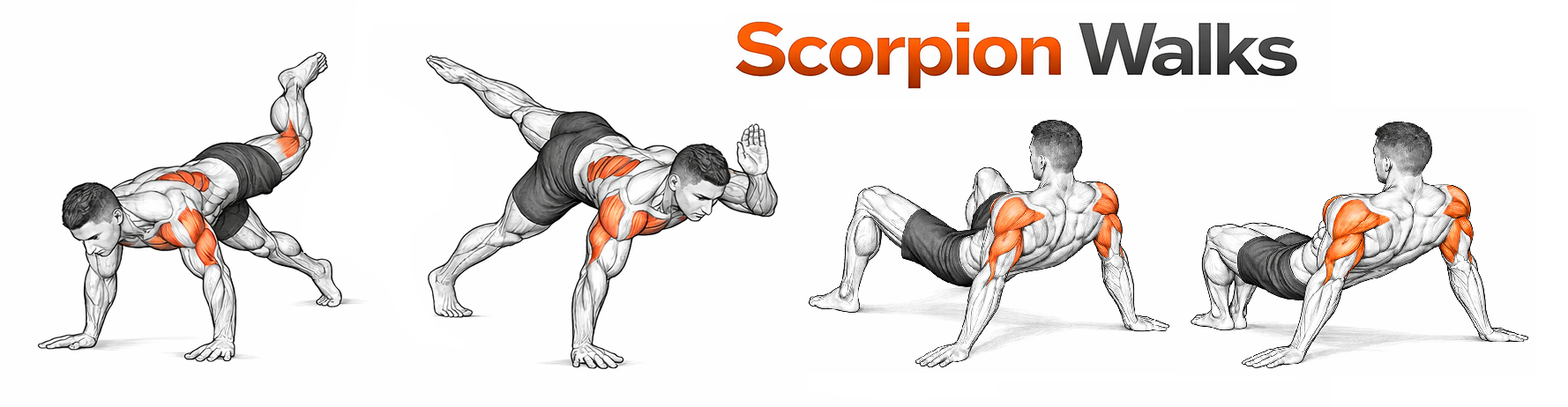 Scorpion Walks illustration