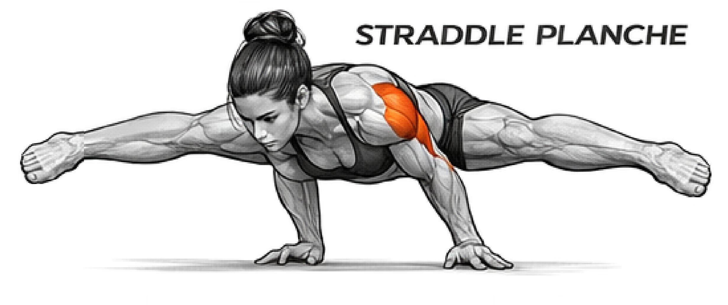 Straddle Planche illustration