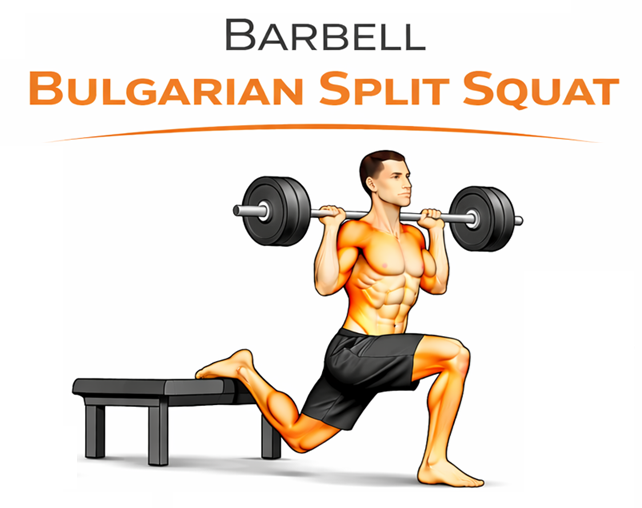 Illustrated guide to the Barbell Bulgarian Split Squat exercise