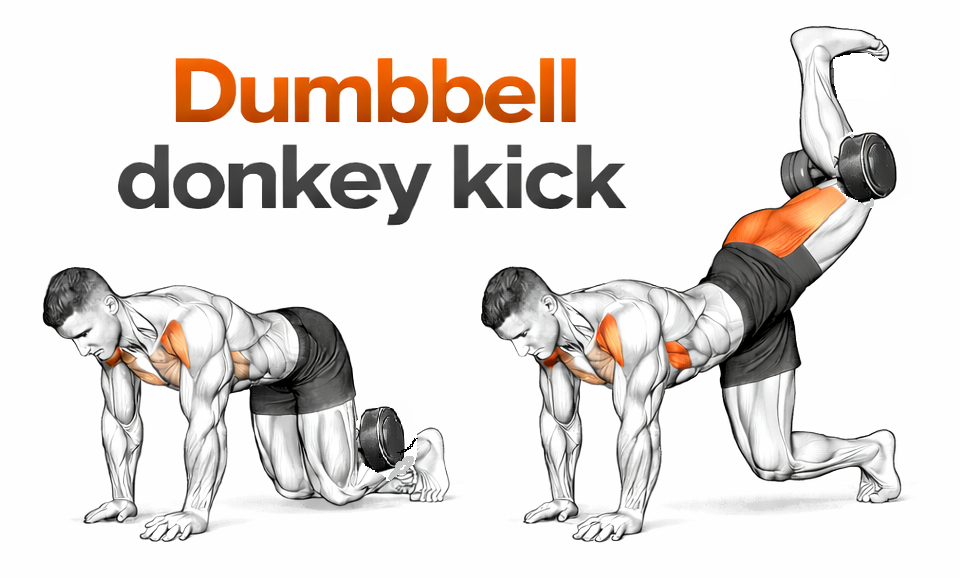 Illustrated guide to the Dumbbell Donkey Kick exercise