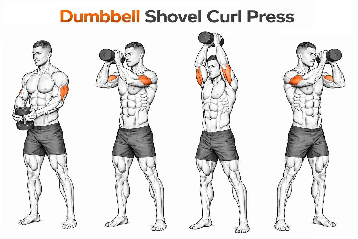 Dumbbell Shovel Curl Press illustration