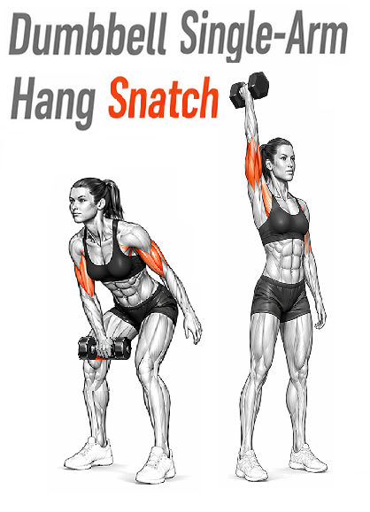 Illustrated guide to the Dumbbell Single Arm Hang Snatch exercise