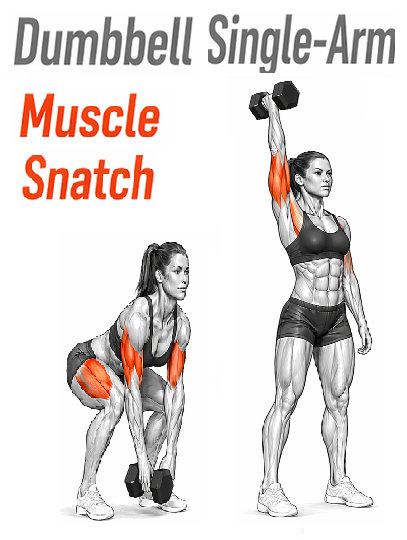 Illustrated guide to the Dumbbell Single Arm Muscle Snatch exercise
