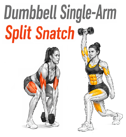 Illustrated guide to the Dumbbell Single Arm Split Snatch exercise