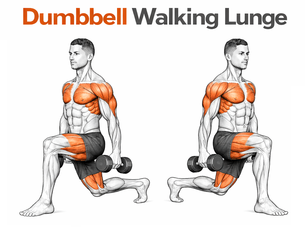 Dumbbell Walking Lunge illustration