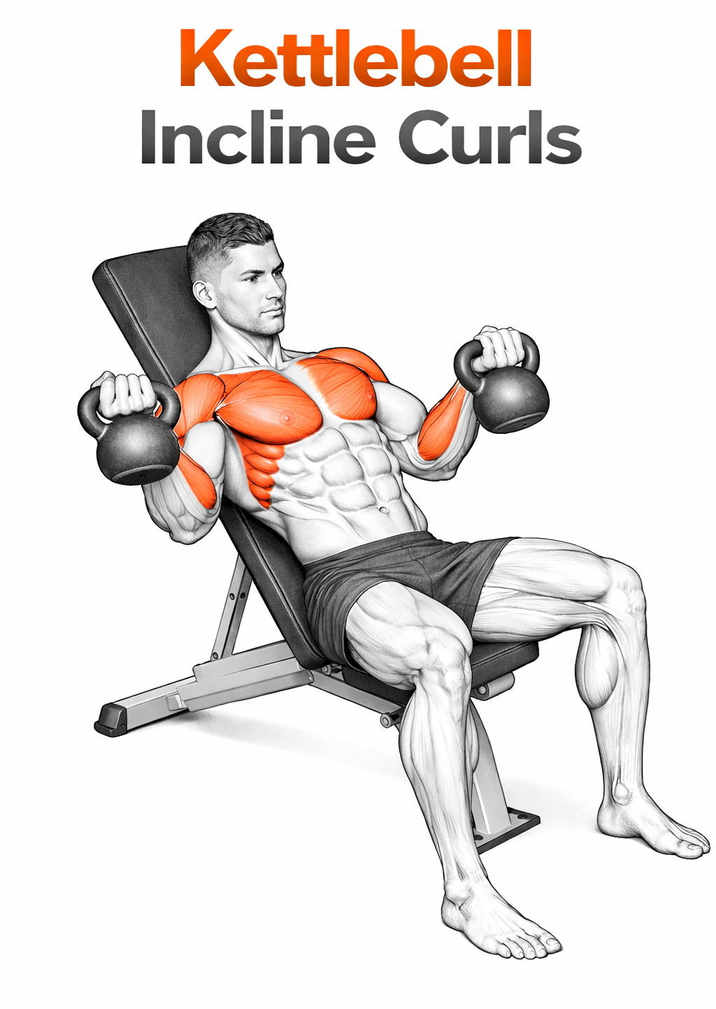 Kettlebell Incline Curl illustration