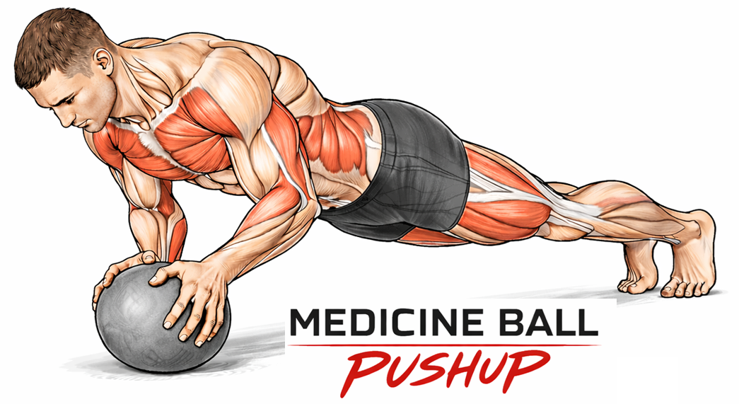 Illustrated guide to the Medicine Ball Pushup exercise