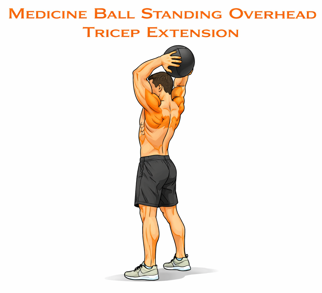 Medicine Ball Standing Overhead Tricep Extension illustration