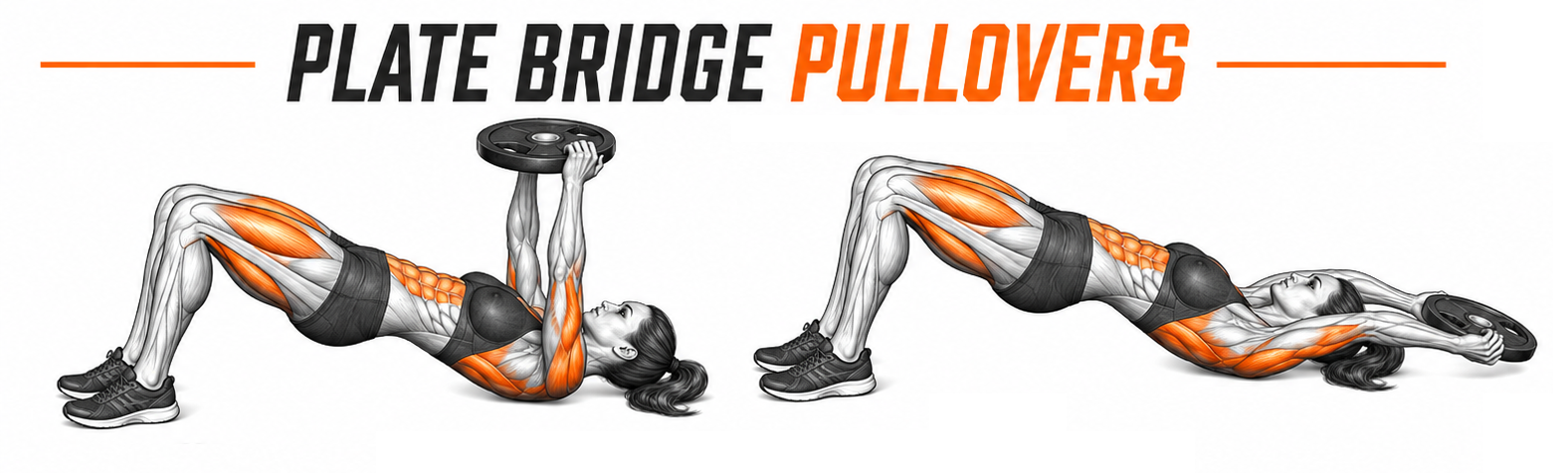 Illustrated guide to the Plate Bridge Pullovers exercise