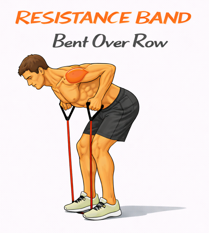 Illustrated guide to the Resistance Band Bent Over Row exercise