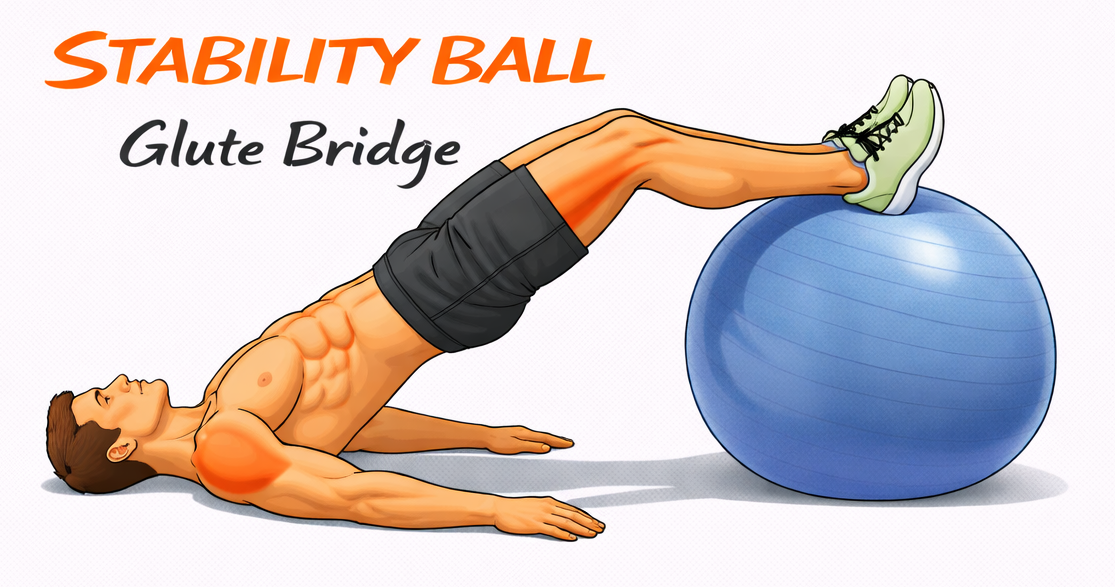 Stability Ball Glute Bridge illustration