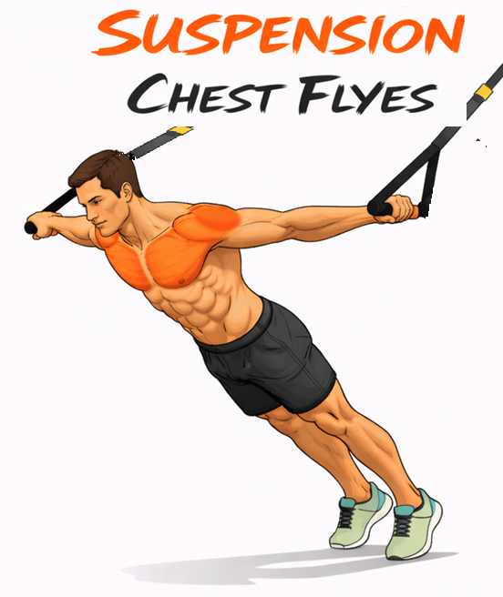 Suspension Chest Flyes illustration