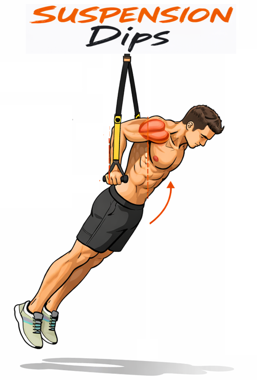 Suspension Dips illustration