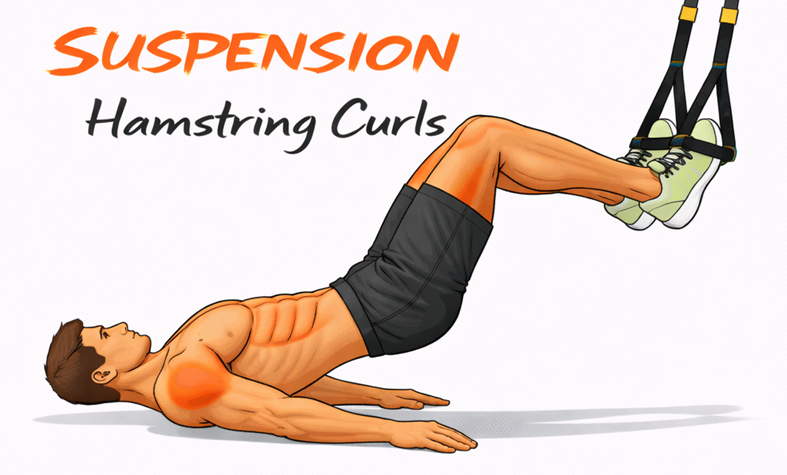 Suspension Hamstring Curls illustration
