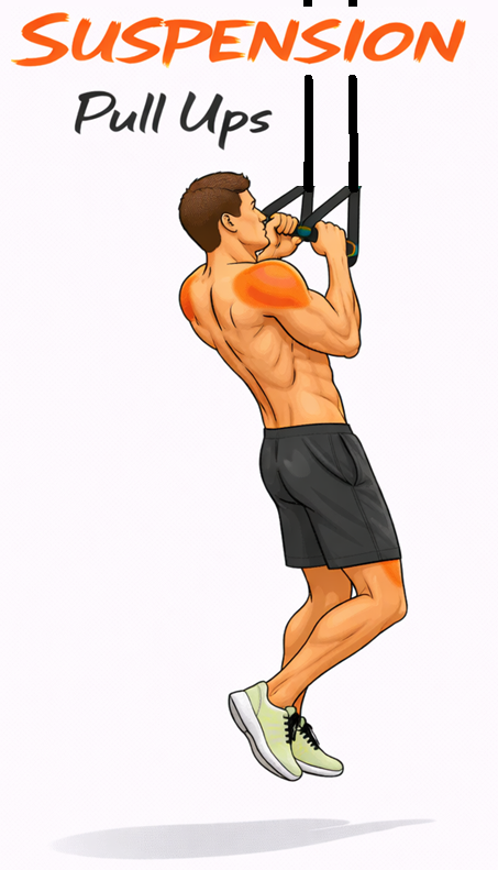 Suspension Pull Ups illustration