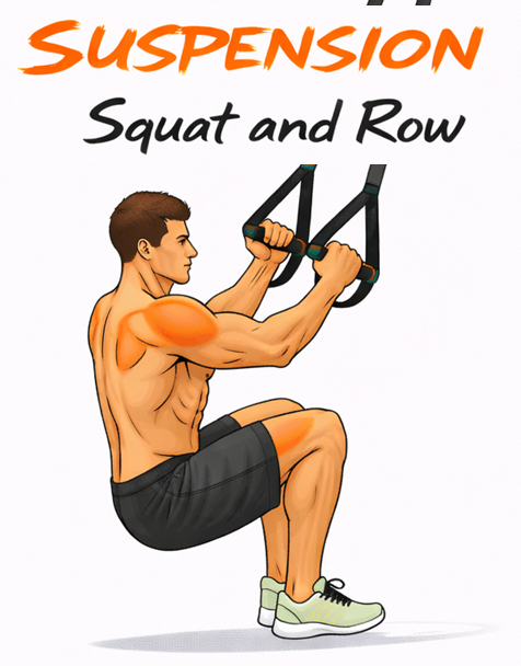 Suspension Squat and Row illustration