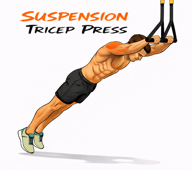Suspension Tricep Press illustration